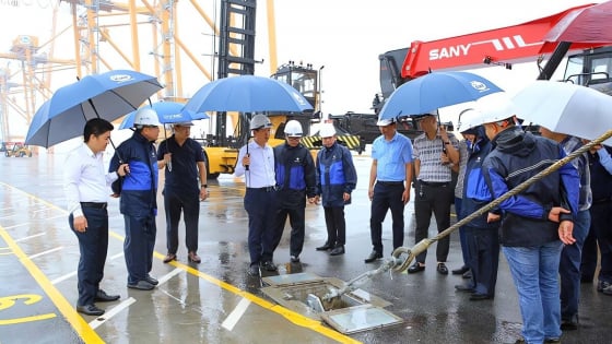 Doanh nghiệp ở Hải Phòng sẵn sàng ứng phó bão WIPHA