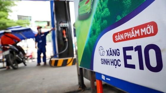 Truy xuất toàn bộ chuỗi cung ứng nếu xảy ra sự cố với xăng E10