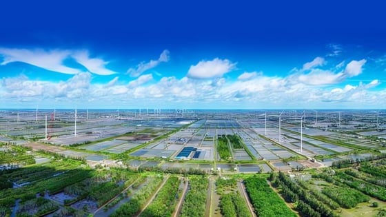 Bài toán lớn của tăng trưởng xanh Việt Nam