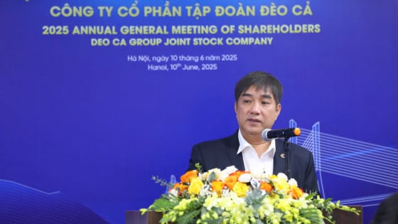 Tham vọng mở rộng cao tốc Bắc - Nam, 'tham chiến' dự án đường sắt của Đèo Cả