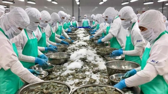 TP. HCM có thêm 5 hội doanh nghiệp