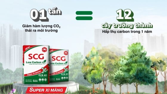 Bước vào thị trường 110 tỷ USD: DN xi măng ngoại đang vượt nội