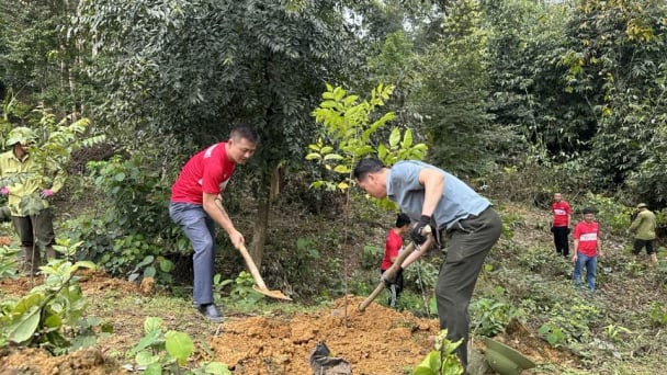 Nỗ lực cao nhất để hoàn thành nhiệm vụ được giao