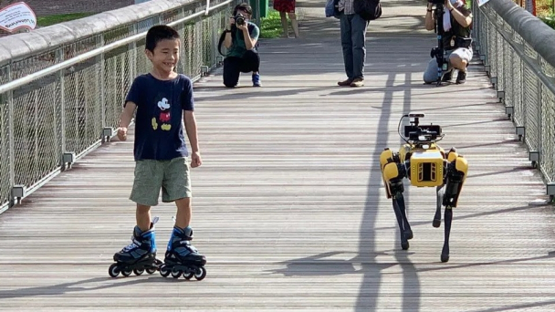 Robot chó: Giải pháp công nghệ giá rẻ bùng nổ tại Singapore