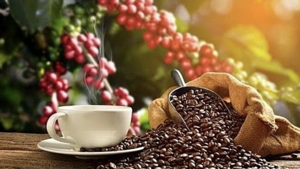 Xuất khẩu top đầu thế giới, người Việt vẫn mơ 1 ly cà phê thật và sạch