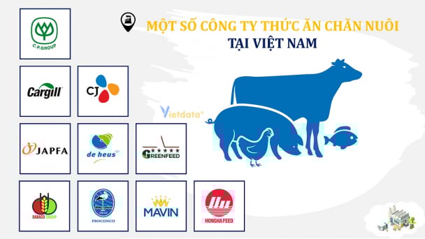 'Đại gia' ngoại chiếm lĩnh ngành chăn nuôi, cuộc chơi tỷ USD tại Việt Nam