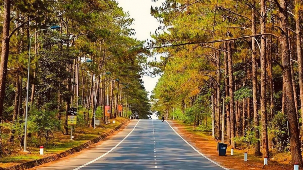 Kon Tum: Duyệt chủ trương đầu tư 3 dự án khu đô thị ở Măng Đen 26.000 tỷ đồng