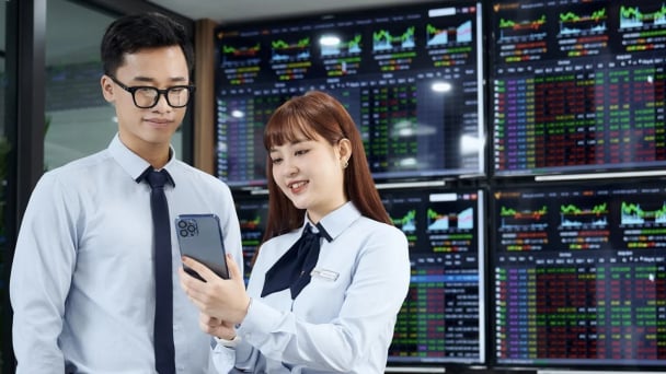 Dấu ấn MSN, VIC, VHM:  Khối 'nhà giàu' nâng cả sàn vượt đỉnh
