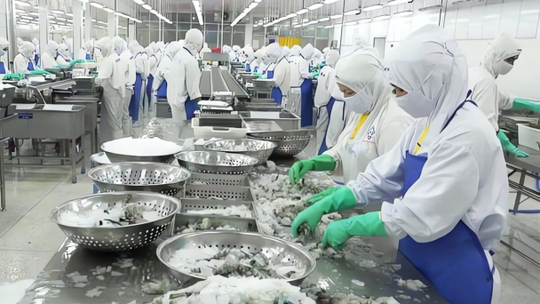 Một DN thuỷ sản kiệt quệ: Cổ phiếu giá 500 đồng, lỗ lũy kế 1.700 tỷ