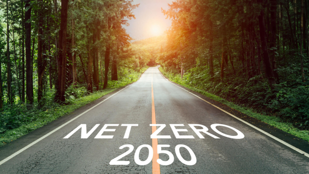 Từng tấc đất rừng và từng hạt lúa thơm: Nông dân Việt tiến đến Net Zero