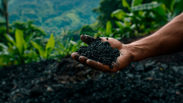 Biochar: Biến hàng triệu tấn phụ phẩm thành nguồn lợi triệu USD