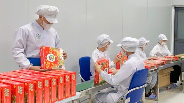 DN vẫn ‘khát vốn’: Đến lúc chuyển từ thế chấp tài sản sang cho vay theo dòng tiền?