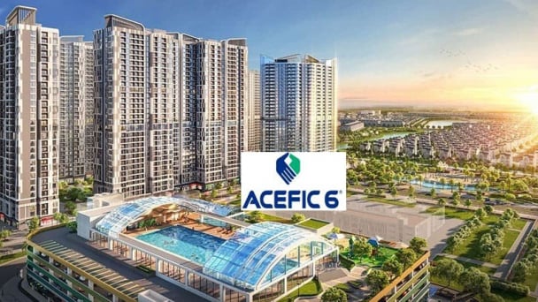 ACE 6 Việt Nam bị đối tác 'tố' chây ì công nợ nhiều năm