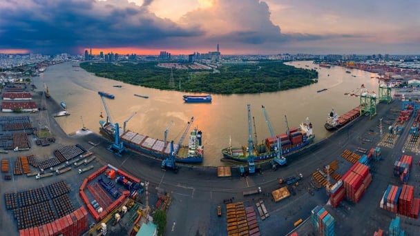 Cảng Sài Gòn muốn bán toàn bộ cổ phiếu tại Ngân hàng MSB