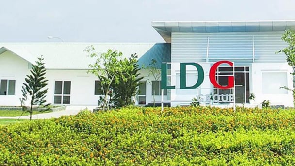 Cổ phiếu LDG tăng mạnh sau khi cựu chủ tịch tái xuất