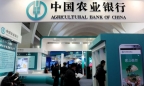 Ngân hàng Nông nghiệp Trung Quốc sẽ mở chi nhánh Hà Nội sau 5 năm mở văn phòng đại diện
