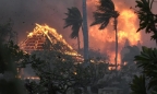 Cháy rừng tàn phá Hawaii: 1.700 tòa nhà bị 'xóa sổ', hàng chục người thiệt mạng