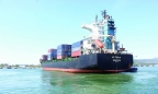 Sau 5 tháng vận hành tuyến container, Cảng quốc tế Nghi Sơn tăng trưởng thế nào?