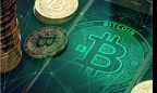 Giá bitcoin hôm nay 13/11: Sở Công Thương Hà Nội yêu cầu không được sử dụng Bitcoin