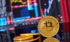 Tăng 2.700% nhờ sự 'điên rồ' của bitcoin, cổ phiếu của Crypto bị tạm ngừng giao dịch
