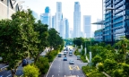 Singapore đánh phí ô tô 'siêu cao' để chống tắc đường