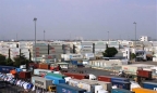 Doanh nghiệp nợ thuế bỏ trốn, để lại hơn 50 tấn chân gà tại cảng Cát Lái