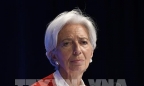 Tổng Giám đốc IMF đệ đơn từ chức