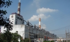 Công ty con của REE liên tục bán ra cổ phiếu PPC của Nhiệt điện Phả Lại
