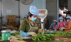 Mỹ giảm thuế, siết nhập khẩu: Việt Nam bị ảnh hưởng sao?