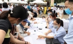 Hà Nội: Hơn 56.000 lao đông được tạo việc làm từ nguồn vốn ngân sách thành phố
