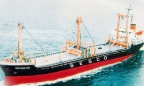 Tổng công ty Hàng hải muốn thoái hết vốn tại Vận tải biển Hải Âu