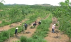 Thanh tra Chính phủ: Ninh Bình để doanh nghiệp sử dụng hàng nghìn ha đất miễn phí