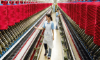 Bắt tay đối tác Việt, Tập đoàn Đức xây dựng nhà máy nghìn tỷ chế biến lông cừu
