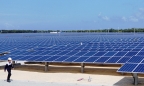 Thủ tướng đồng ý bổ sung dự án điện mặt trời 450 MW tại Ninh Thuận vào quy hoạch