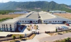 Bình Định: Công ty Kim Thành Lập được chấp thuận dự án sản xuất ván gần 4.400 tỷ