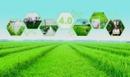 Chuyển đổi số: Đông lực cho nông nghiệp vượt ngưỡng tăng trưởng