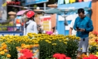 Rực rỡ chợ hoa Tết Thuận An, Bình Dương
