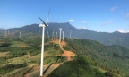 Phú Yên chuyển hơn 11ha đất rừng để làm dự án điện gió hơn 1.700 tỷ đồng