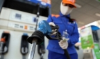 Thanh tra 11 doanh nghiệp kinh doanh xăng dầu: Lộ nhiều sai phạm
