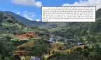 Lâm Đồng: 'Từ nay trở đi không chấp thuận các dự án liên quan đến đất rừng'
