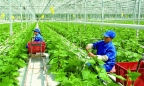 Việt Nam đứng thứ hai khu vực về tiềm năng phục hồi ngành nông nghiệp thực phẩm