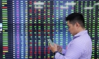 ‘Phần lớn nhà đầu tư cá nhân Việt Nam đầu cơ lướt sóng để có lợi nhuận cao trong thời gian ngắn’