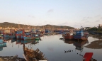 Quảng Ngãi chi 250 tỷ đồng làm đê chắn cát, giảm sóng tại cảng cá Sa Huỳnh