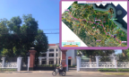Quảng Ngãi: Hé lộ liên danh nhà thầu làm đường Hoàng Sa – Dốc Sỏi 3.500 tỷ