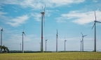 Quảng Bình 'thúc' cụm dự án trang trại điện gió B&T 8.904 tỷ đồng khởi công vào tháng 10/2020