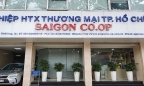 Quá trình tăng vốn điều lệ không đúng quy định của Saigon Co.op