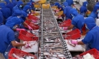 Wal Mart tìm nguồn cung hàng thực phẩm, thủy sản tại Việt Nam
