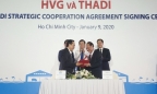 Thaco nắm 35% vốn HVG, chi 2.000 tỷ lập liên doanh nuôi lợn giống