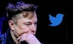 Elon Musk đã lỗ gần 70% từ thời điểm mua lại Twitter