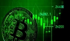 Bitcoin vượt mốc 31.000 USD, đỉnh cao kỷ lục năm 2023